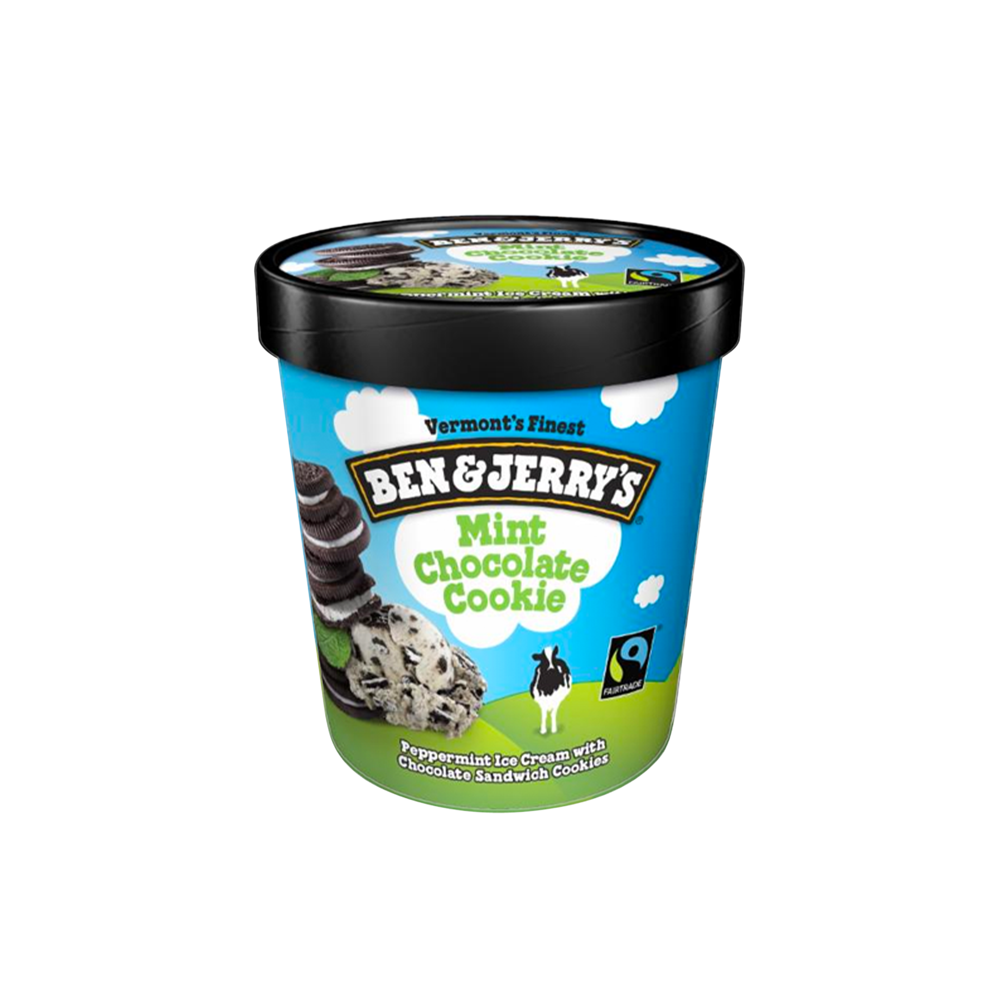 Ben & Jerry Mint Chocolate Cookie 1 Pint / 473 ml